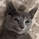 cat happy Slack emoji