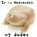 itiswednesdaymydudes Slack emoji