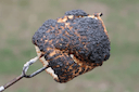 burnt marshmallow Slack emoji