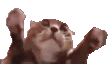 clappi Slack emoji