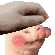 catpet Slack emoji