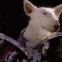 spudsmackenzie drums Slack emoji