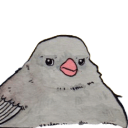 annoyed bird Slack emoji