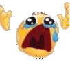 noooo Slack emoji