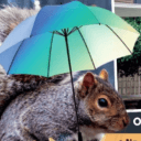 umbrellasquirrel Slack emoji