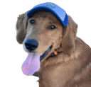 petethegoldenboy Slack emoji