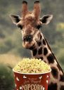 giraffes thinking animals Slack emoji