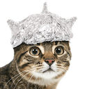 tinfoilcat Slack emoji