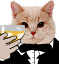 fancy cat Slack emoji