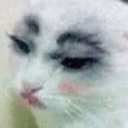 cat introspective Slack emoji