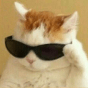 cat vibe check Slack emoji