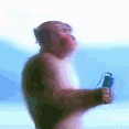 monkey zen Slack emoji