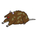 keith cpp Slack emoji