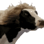 majestic beautiful cow Slack emoji