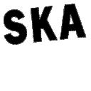 skaskaska Slack emoji