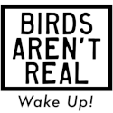 birds arent real Slack emoji