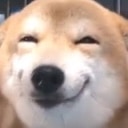doggo cute Slack emoji