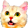 cat surprised tongue Slack emoji