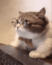 grandpacatcomputer Slack emoji