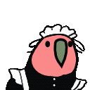 maid parrot Slack emoji