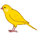 canary die Slack emoji