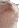 shiba smile tongue out Slack emoji