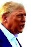 wtf trump Slack emoji