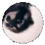 pedro pedro Slack emoji