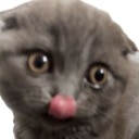 imagefromios Slack emoji