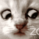iamnotacat Slack emoji