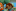 what monkey Slack emoji
