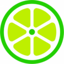 lime slice Slack emoji