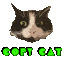 copy cat cute Slack emoji