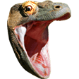 pogchamp Slack emoji