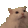 cat scream Slack emoji