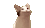cat pakupaku Slack emoji