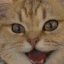 excited cat Slack emoji