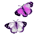 purple butterflies Slack emoji