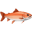 salmon Slack emoji