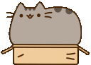 pusheenbox Slack emoji
