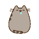 pusheendrool Slack emoji