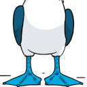 blue footed booby feet Slack emoji