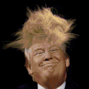 trump Slack emoji