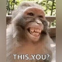 monkey this you Slack emoji