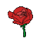 redrose bloom Slack emoji