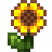 stardew sunflower Slack emoji
