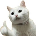 thumbs up cat Slack emoji