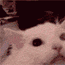 cat nuke Slack emoji