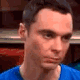 sheldon really Slack emoji