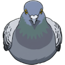 pigeon Slack emoji